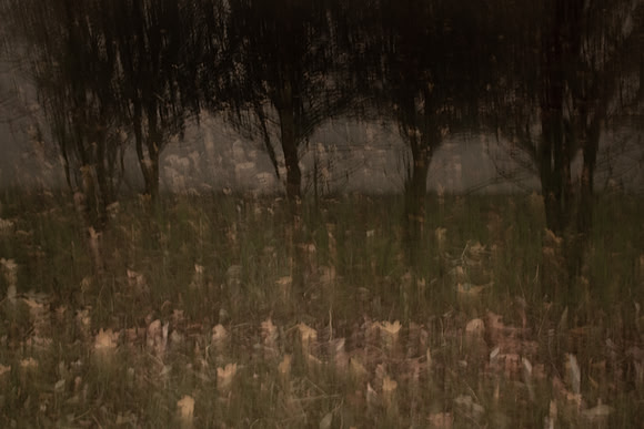 autumn #9