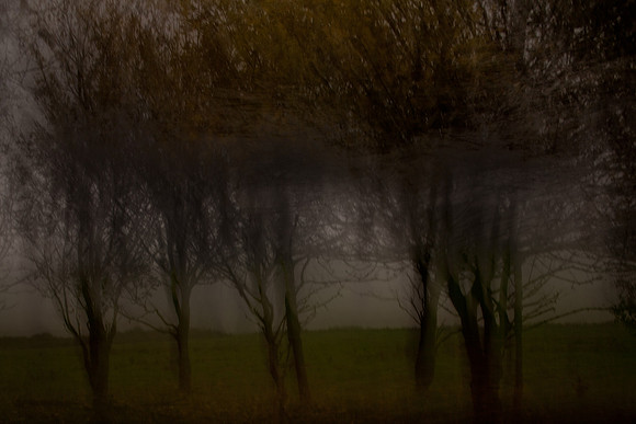 autumn #4