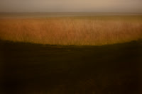 oare marshes #13