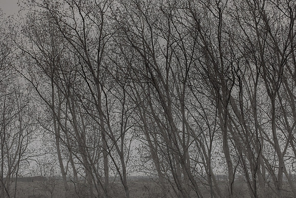300315/379