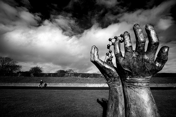 Hands