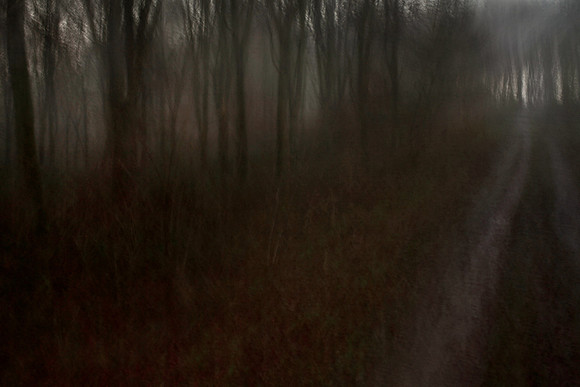 mist 1