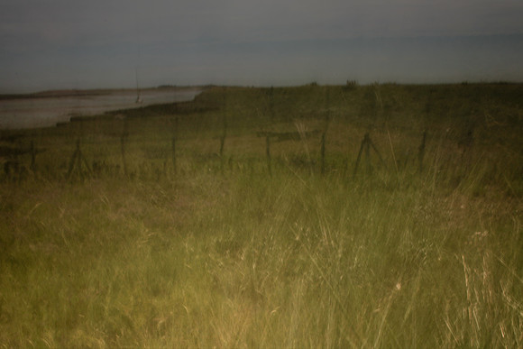 cf37 - field 1