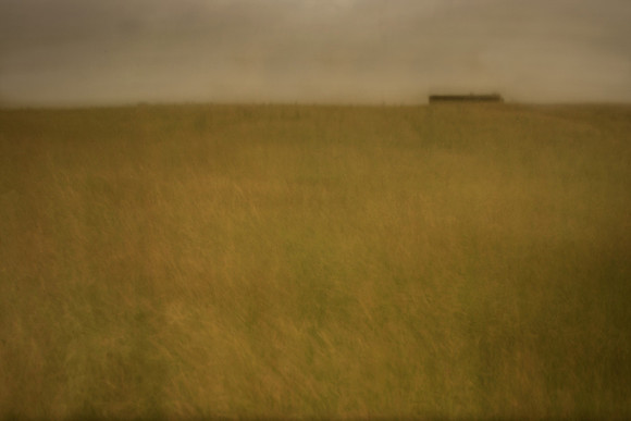 field 3