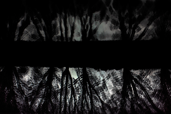shadows #10