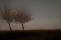 autumn #13
