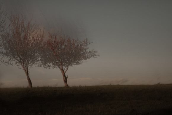 autumn #13