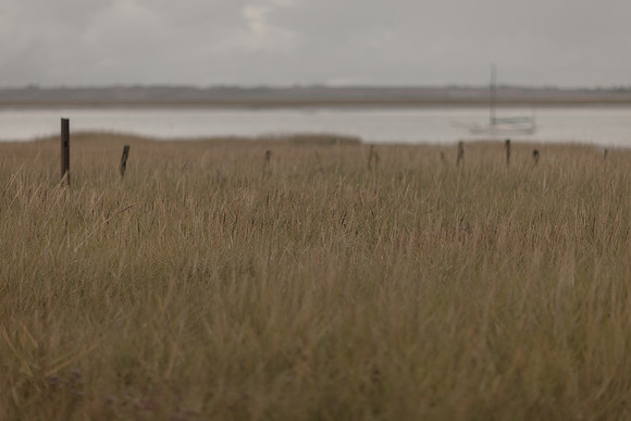 riverbank #13