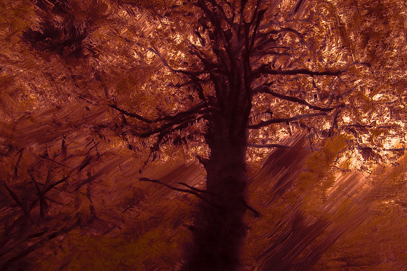 trees 20 #218