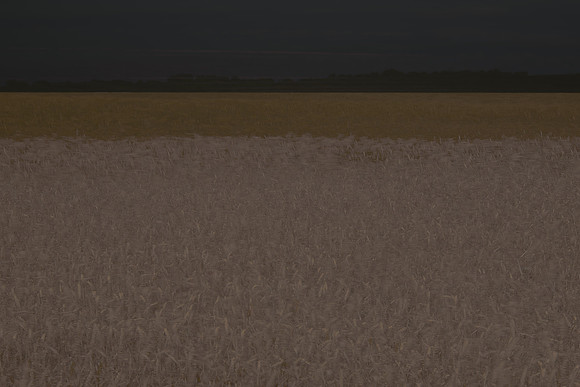 field 5 #16