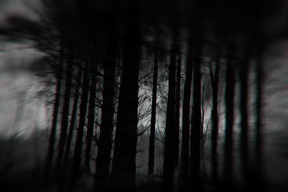 110214/463