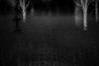 afterlife #11