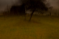 oare marshes #9