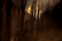 north west frontier #14
