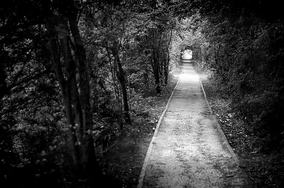 Tunnel