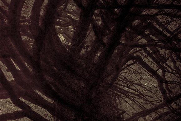 tree #1