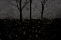 autumn #3