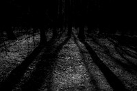 shadows #4