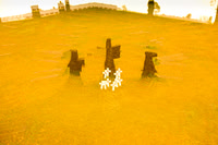 western front #12