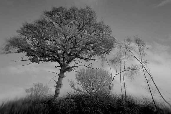 201114/63