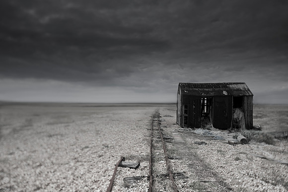 dungeness 7