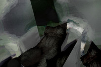 260116-3