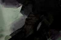 260116-14