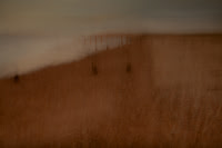 2011-12-13-519