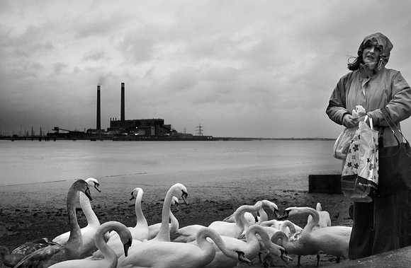 Swan lady