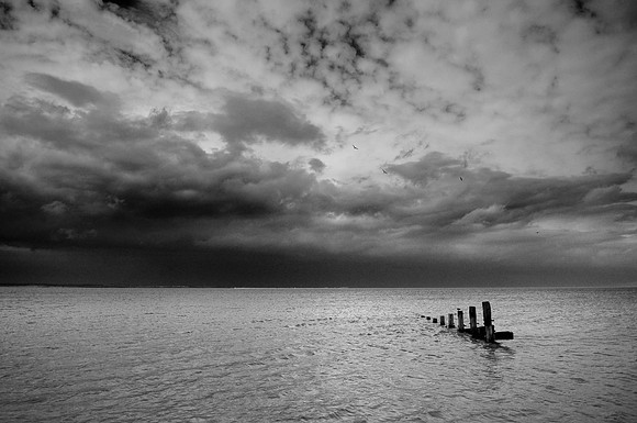 Storm 3