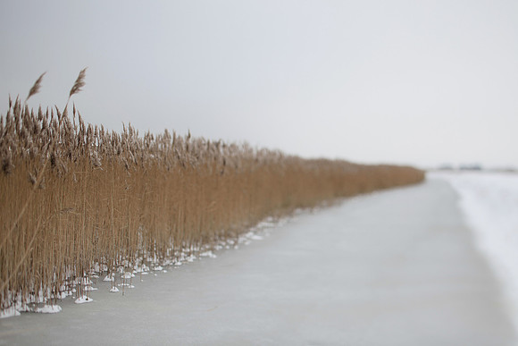 winter 5