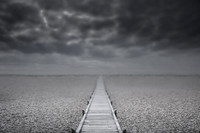 dungeness 5