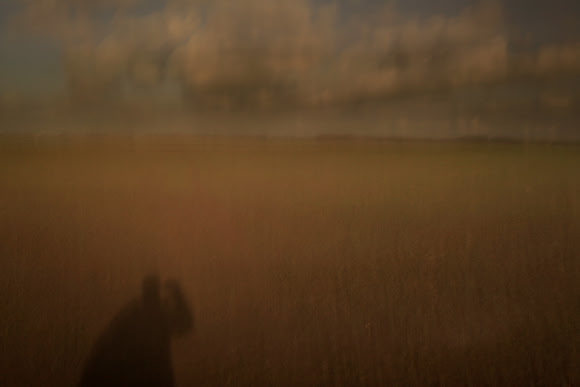 self portrait with field 1