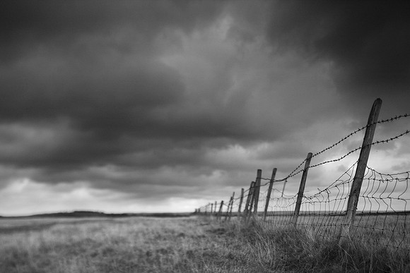 Fence