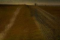 wire #6