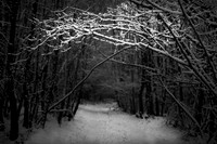 Snow 1