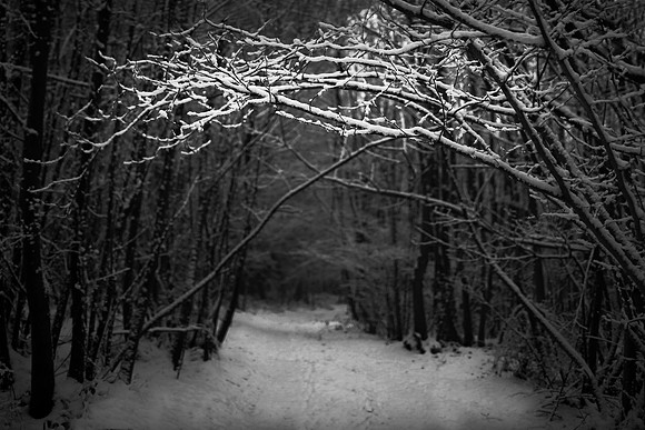 Snow 1