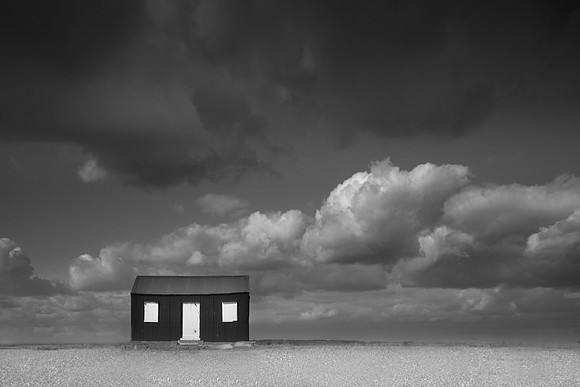 House with no dog