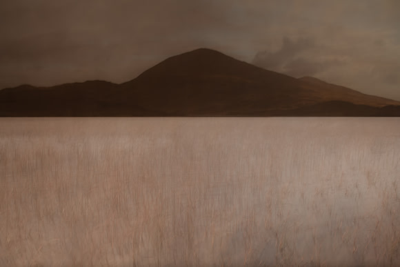 harris #8