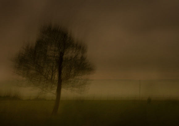 cf6 - woman and tree 2