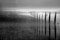Beach blur 4