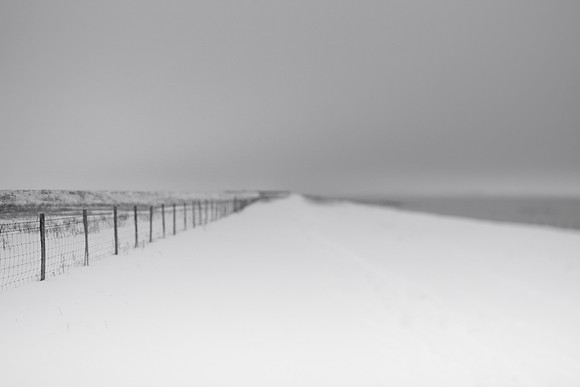 winter 2