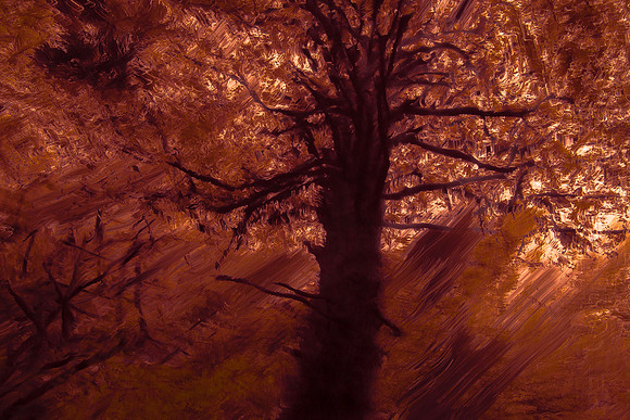 trees 20 #218