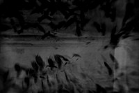2012-10-16-36-4
