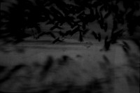 2012-10-16-36-2