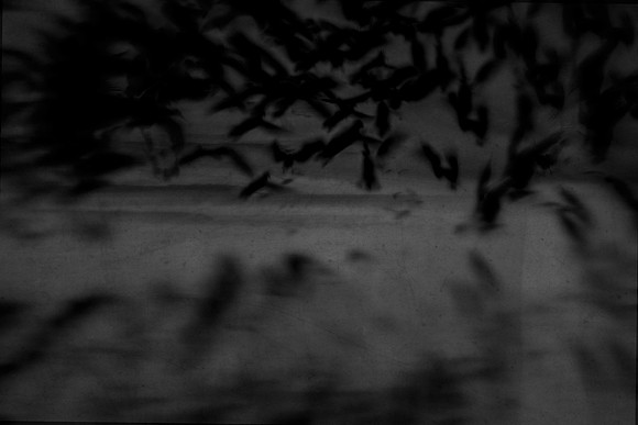 2012-10-16-36-2