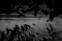 2012-10-16-36-7