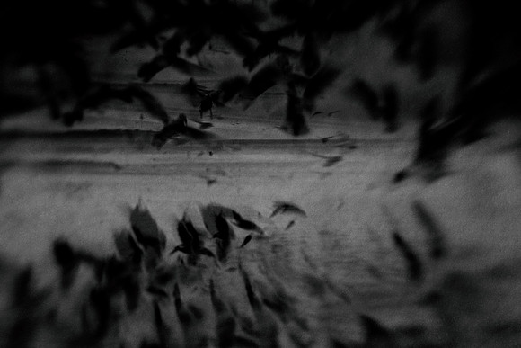 2012-10-16-36-7