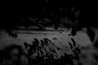 2012-10-16-36-6