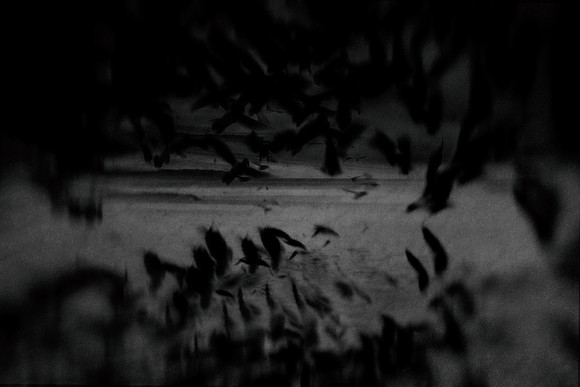 2012-10-16-36-6